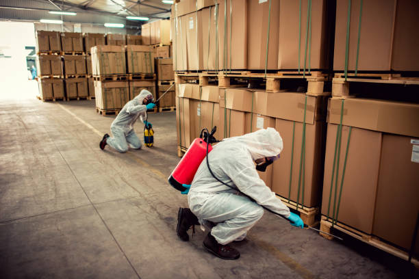Best Residential Pest Control  in Lake Los Angeles, CA