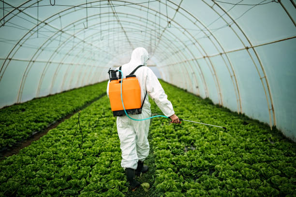 Best Pest Removal Services  in Lake Los Angeles, CA