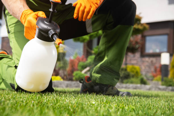 Lake Los Angeles, CA Pest Control Company