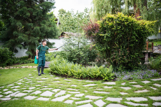 Best Insect Control  in Lake Los Angeles, CA