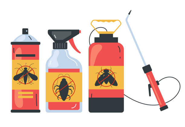 Best Spider Control Near Me  in Lake Los Angeles, CA